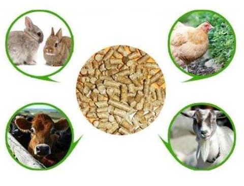 Animal-Feed-Pellet-Mill-76