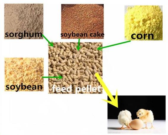 Animal-Feed-Pellet-Mill-87