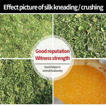 medium-sized-hay-corn-maize-silage-grass
