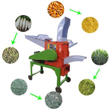 medium-sized-hay-corn-maize-silage-grass