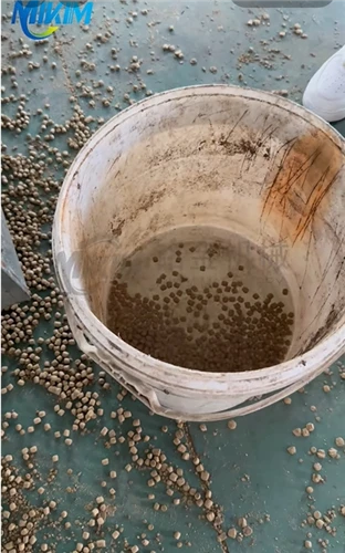 1000kg/h mouye-Tip Twin-Screw Floating Fish Feed Extruder Machine Testing